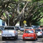 Maio amarelo começa com índice crescente de motoristas ao celular