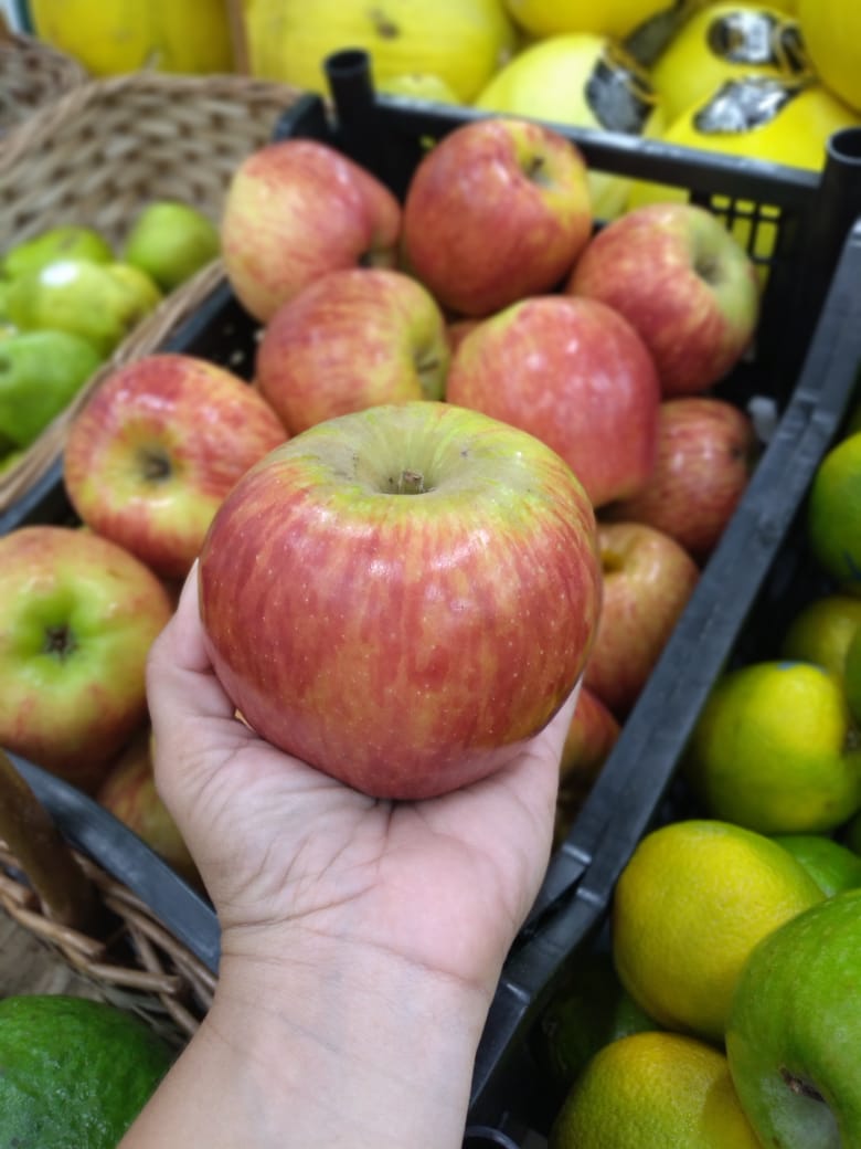 Potência na agricultura e na saúde, a maçã é uma aliada barata e nutritiva na rotina do consumidor brasileiro