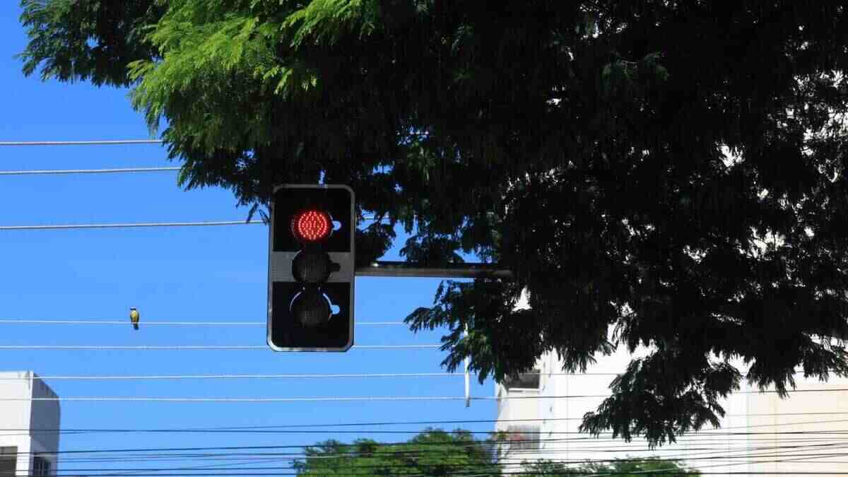 semáforo tampado rua bahia