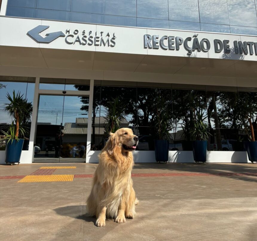 Hospital Cassems de Dourados recebe visita do cão Alfredinho famoso por dar carinho