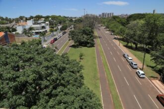 Prefeitura de Campo Grande lança Painel Digital de Árvores Urbanas