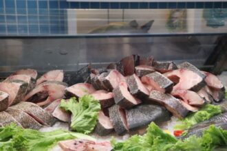 Aliado da saúde, consumo de peixes está em alta no Brasil