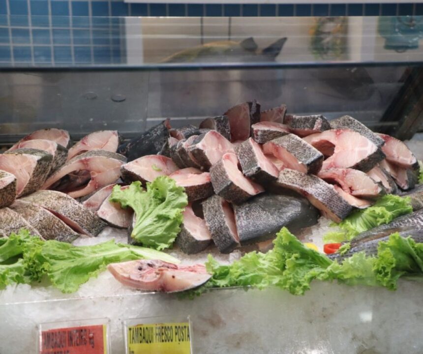 Aliado da saúde, consumo de peixes está em alta no Brasil