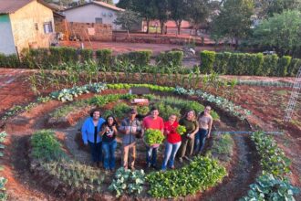 Com apoio da Fundect, bolsistas do Pictec inovam agricultura familiar em Anhanduí