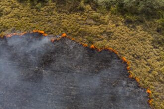 Queimadas e estiagem podem gerar uma crise energética?